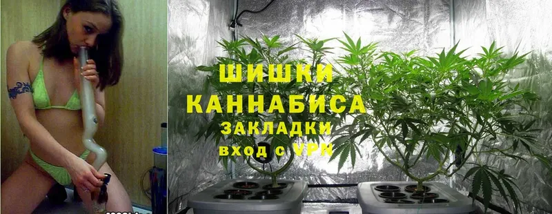 наркота  Гудермес  МАРИХУАНА OG Kush 